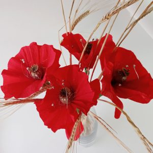 Crepe Poppies