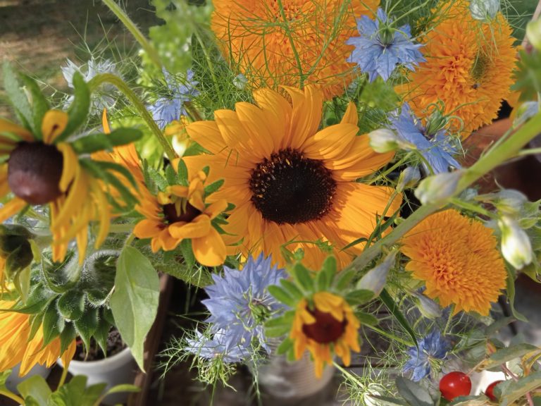 Sunflowers and Nigella